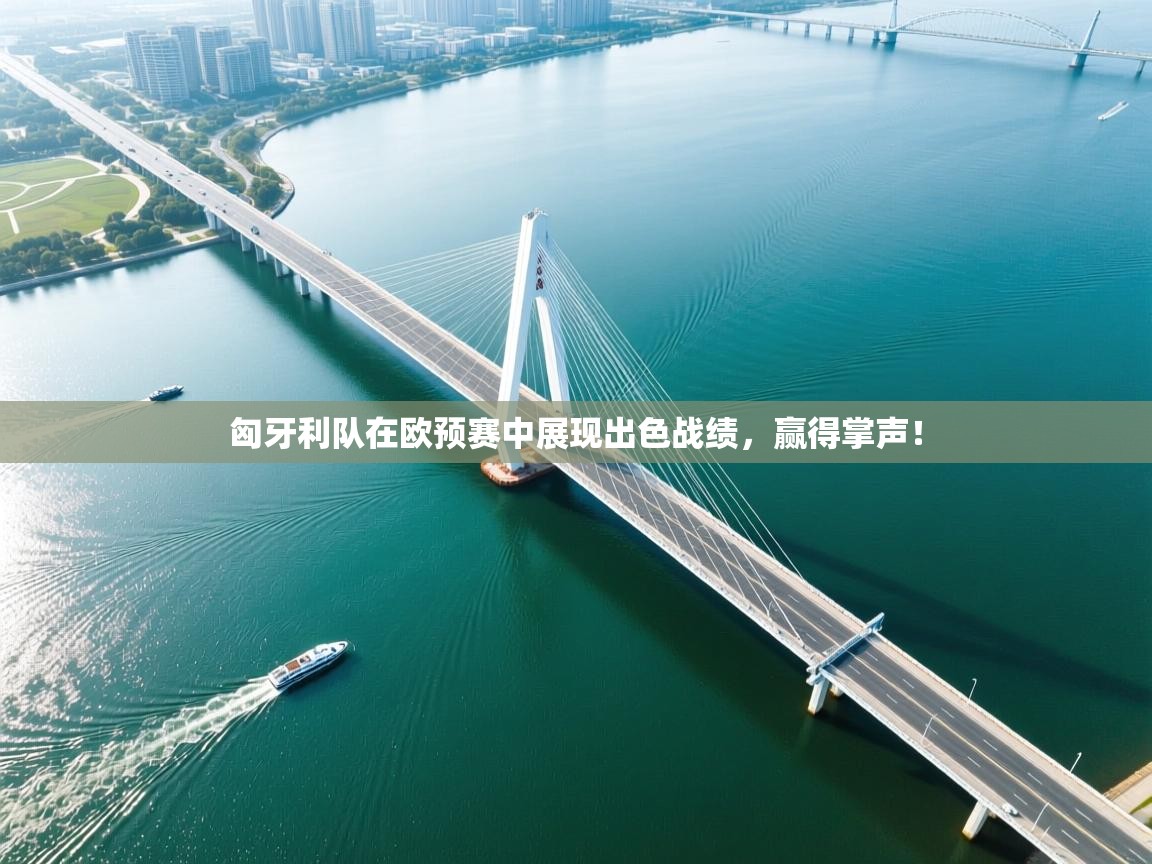 匈牙利队在欧预赛中展现出色战绩，赢得掌声！